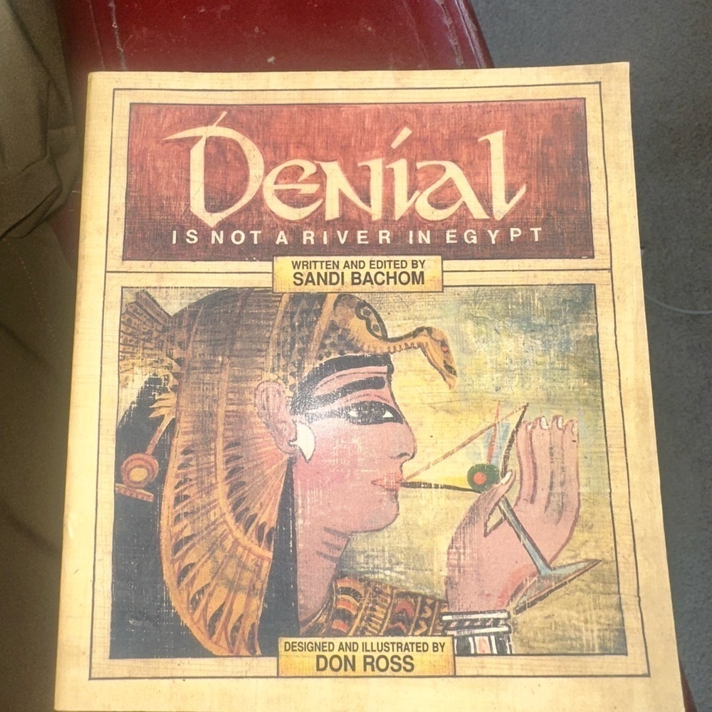 Denial Is not a River in Egypt Book by Sandi Bachom - Alcoholism Theme